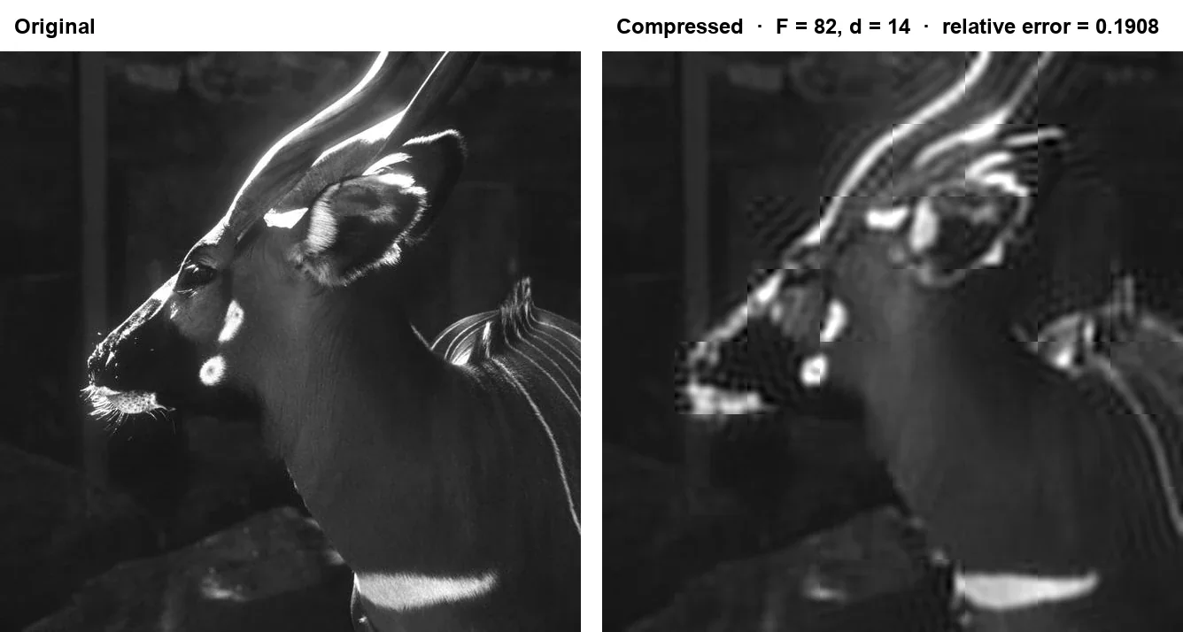 Original deer image and its block-DCT reconstruction with F = 82, d = 14, and relative Frobenius error 0.1908